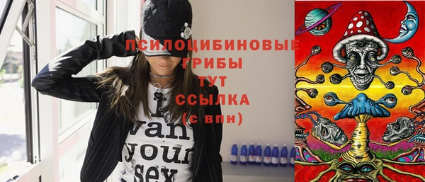 2c-b Богданович