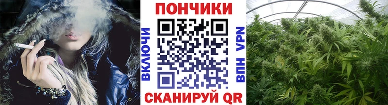 Бошки марихуана индика  Купить  Михайловка 